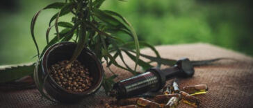 Battle of the CBDs: Gummies vs. Oils for Optimal Effects