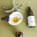 Worldwide Weed: Cannabis Brands Making a Global Impact