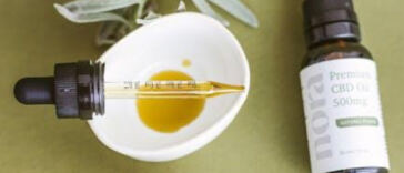 Worldwide Weed: Cannabis Brands Making a Global Impact