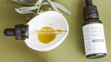 Worldwide Weed: Cannabis Brands Making a Global Impact