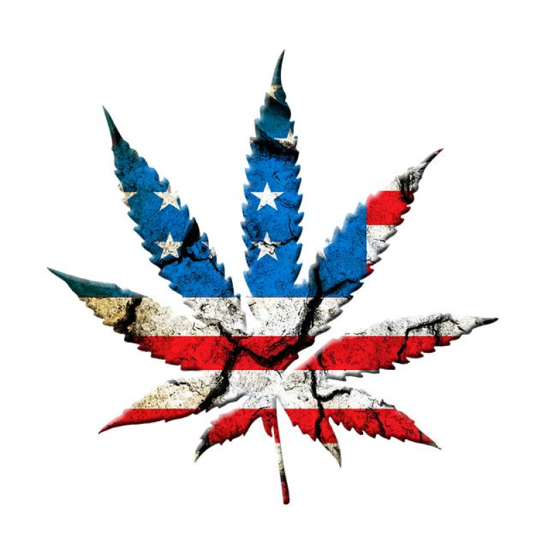 The Mystery of Cannabis and Pain Pathways