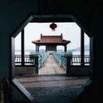 Compact Chronic: Best Autoflowering Strains for Tight Spaces