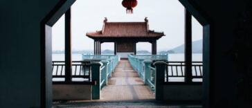 Compact Chronic: Best Autoflowering Strains for Tight Spaces