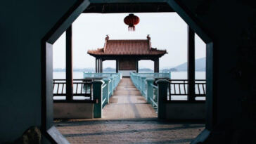 Compact Chronic: Best Autoflowering Strains for Tight Spaces