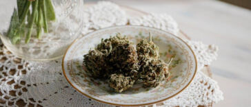 Unraveling the Magic: Cannabis Infusion in Culinary Creations