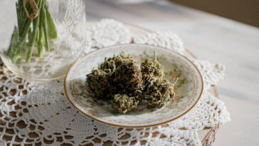 Unraveling the Magic: Cannabis Infusion in Culinary Creations
