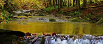 The Green Wave: Latest Cannabis Tourism Trends