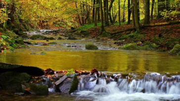 The Green Wave: Latest Cannabis Tourism Trends