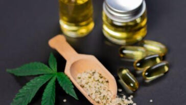 Greenhorn’s Guide: Top Cannabis Seeds for Novice Growers