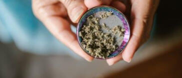 Expanding Horizons: Cannabis Consumers Embrace Augmented Reality