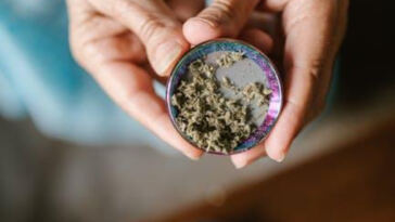 Expanding Horizons: Cannabis Consumers Embrace Augmented Reality