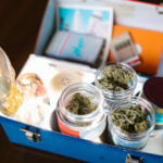 Cannabis Craze: Exciting New Products Hit the Market