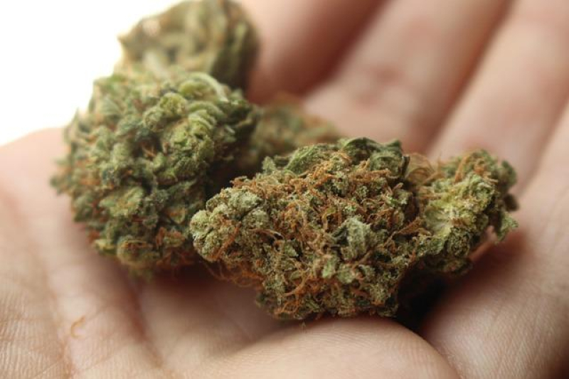 Unwind with Indica: Best Nighttime Strains for Relaxation