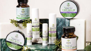 Balancing Act: Analyzing CBD Versus Anxiety Meds