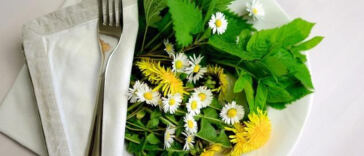 Plant-Based Pot: The Surging Popularity of Vegan Cannabis Edibles