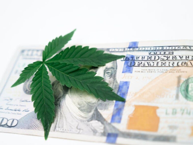 The Green Rush: Cannabis Investment Opportunities