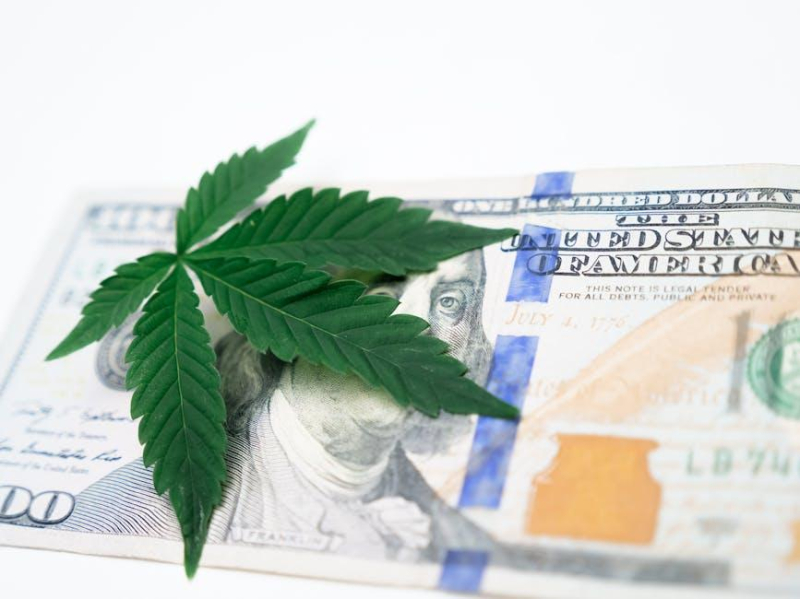 The Green Rush: Cannabis Investment Opportunities