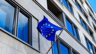 Global Partnerships: Navigating International Cannabis Trade Deals