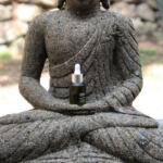 Highly Recognized Cannabis Brands Around the World