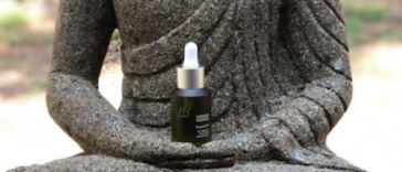 Highly Recognized Cannabis Brands Around the World