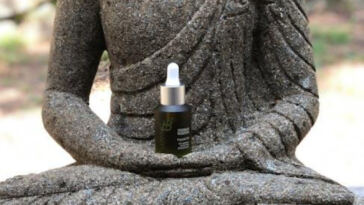 Highly Recognized Cannabis Brands Around the World