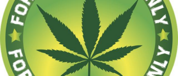 High Times: Legal Cannabis Cafes Around the Globe