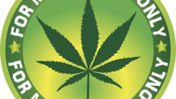 High Times: Legal Cannabis Cafes Around the Globe