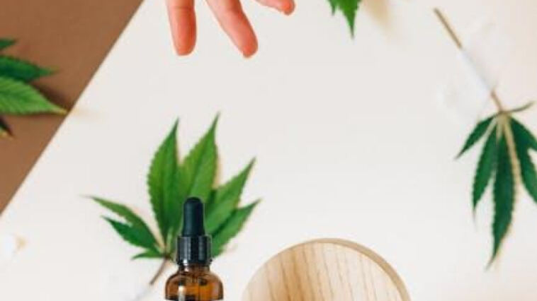 Cracking the Code: Ensuring CBD Quality