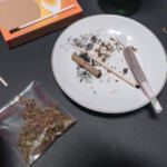 The Green Revolution: Updates on Cannabis Policy Changes