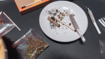 The Green Revolution: Updates on Cannabis Policy Changes