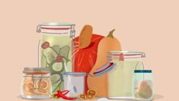 Savoring the Taste: Preserving Strain Flavor Post-Harvest