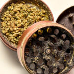 Green is the New Black: Cannabis Legalization News