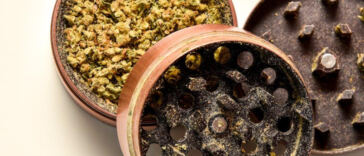 Green is the New Black: Cannabis Legalization News