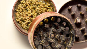 Green is the New Black: Cannabis Legalization News