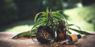 Uncovering Water-soluble CBD Benefits