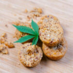 Exploring the Evolution of Cannabis 2.0 Trends