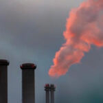 Leveling the Playing Field: Tackling Cannabis Industry Disparities