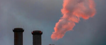 Leveling the Playing Field: Tackling Cannabis Industry Disparities