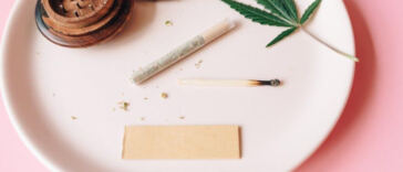 Crafting Cannabis Tinctures: A Step-by-Step Guide