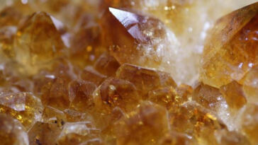 The Healing Power of Cannabis: Self-Care Essentials