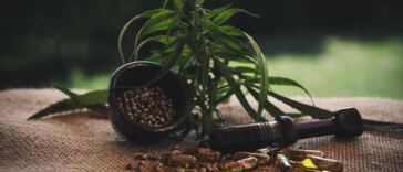 The Mellowing Trend: CBD Beverages Take Over Cafes