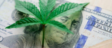 Cultivating Inclusivity: A Look at Diverse Cannabis Business Owners