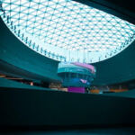 Green thumbs up: Top fertilizers for thriving cannabis plants