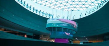 Green thumbs up: Top fertilizers for thriving cannabis plants