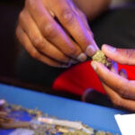 High Hopes: Exploring the Intersection of Cannabis and Tourism