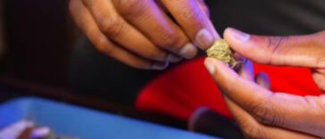 High Hopes: Exploring the Intersection of Cannabis and Tourism