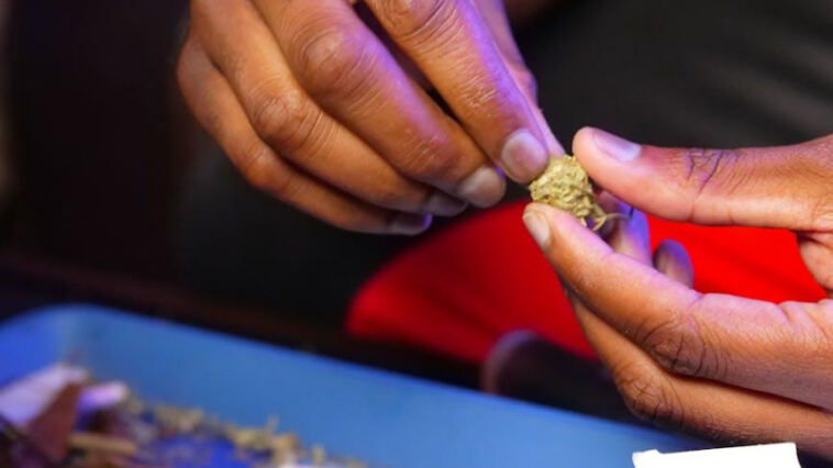 High Hopes: Exploring the Intersection of Cannabis and Tourism