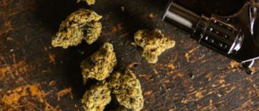 Exploring the Best Cannabis Microdosing Strains