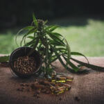 The Healing Power of CBD: Managing Cancer Symptoms