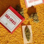 High Times: Evolving Packaging Trends in Cannabis Products